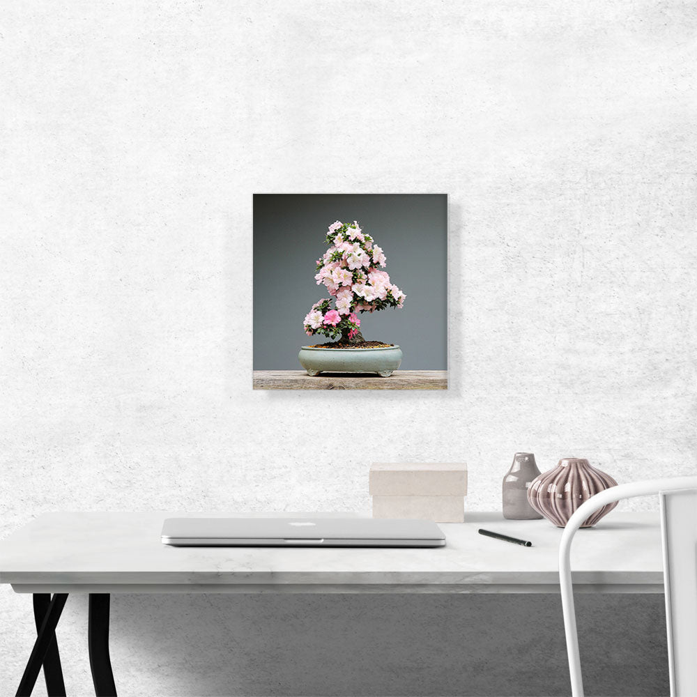 Printed Photograph of Bonsai, Japanese Tree
