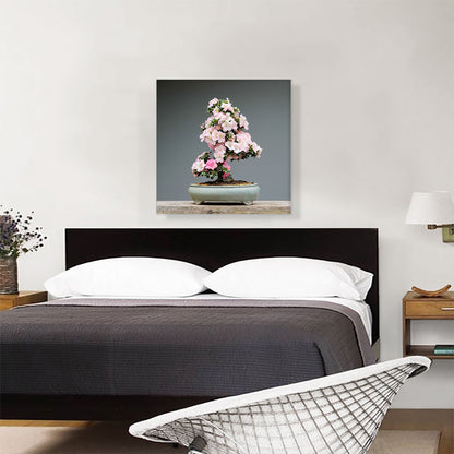 Printed Photograph of Bonsai, Japanese Tree