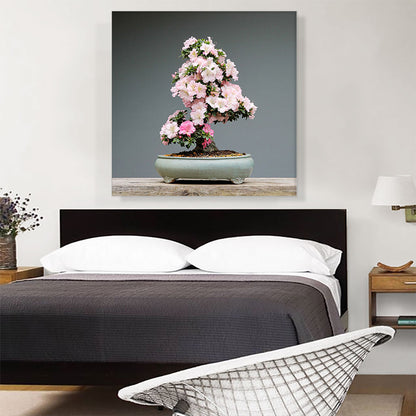Printed Photograph of Bonsai, Japanese Tree