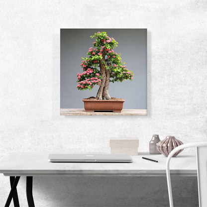 Bonsai, Japanese Mini Tree