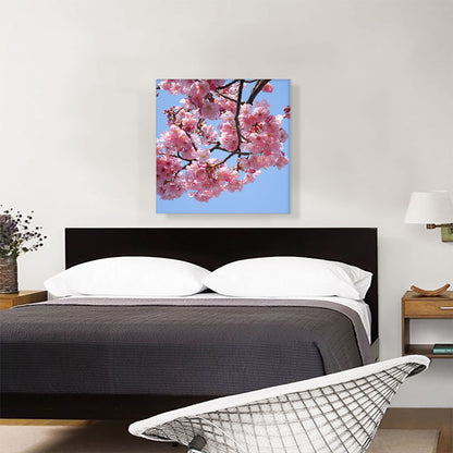 Cherry Blossom Branch Square