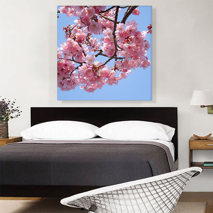Cherry Blossom Branch Square