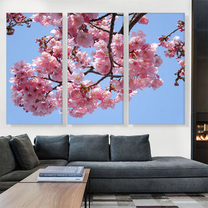 Cherry Blossom Branch
