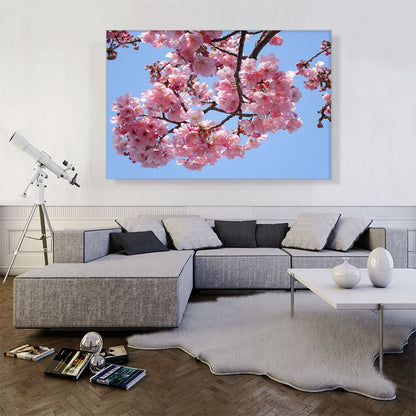 Cherry Blossom Branch