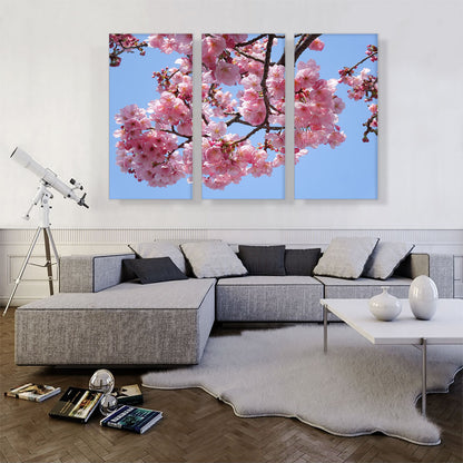 Cherry Blossom Branch