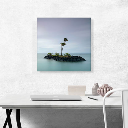 Tiny Island with Two Palm Trees in Honolulu Hawaii Square