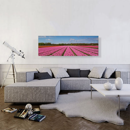 Pink Tulips Field Panorama