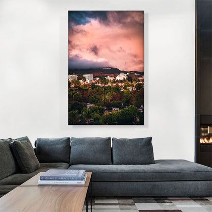 Palm Trees of Hollywood Los Angeles