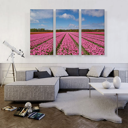Pink Tulips Field
