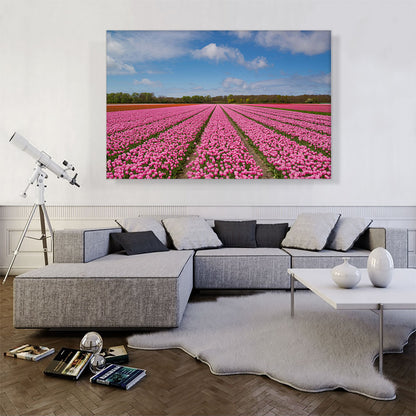 Pink Tulips Field