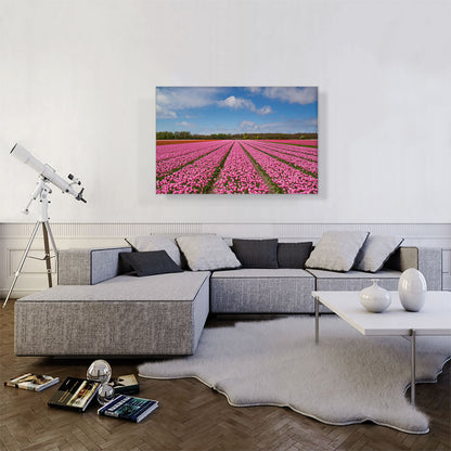 Pink Tulips Field