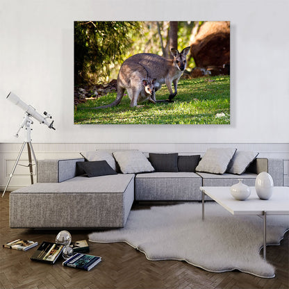 Native Australians Wallaby Mother and Baby