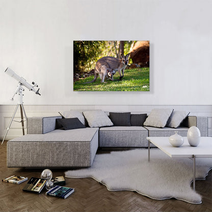 Native Australians Wallaby Mother and Baby