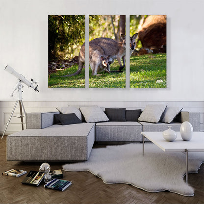 Native Australians Wallaby Mother and Baby