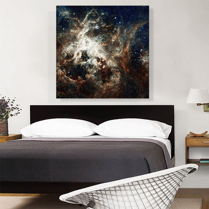 Clouds in the Galaxy Hubble Telescope NASA Photograph
