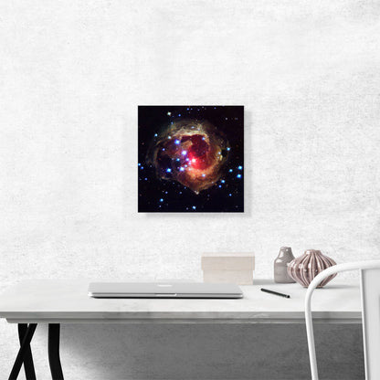 V838 Monocerotis The Bright Red Star