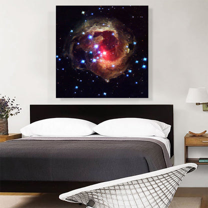 V838 Monocerotis The Bright Red Star