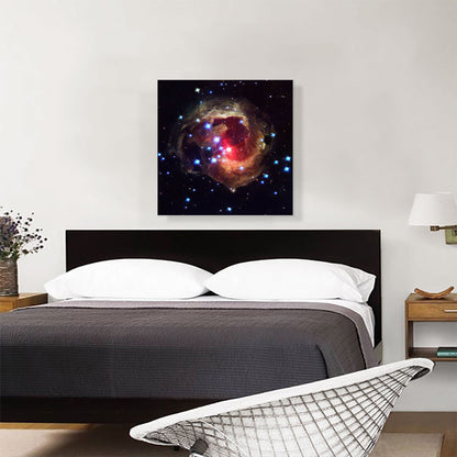 V838 Monocerotis The Bright Red Star