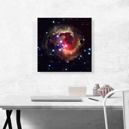 V838 Monocerotis The Bright Red Star