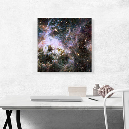 Hubble Telescope Infrared Tarantula Nebula