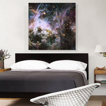 Hubble Telescope Infrared Tarantula Nebula