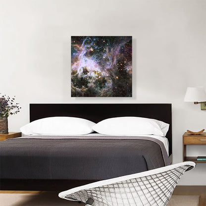 Hubble Telescope Infrared Tarantula Nebula