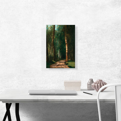 Driveway In a Forest 1859