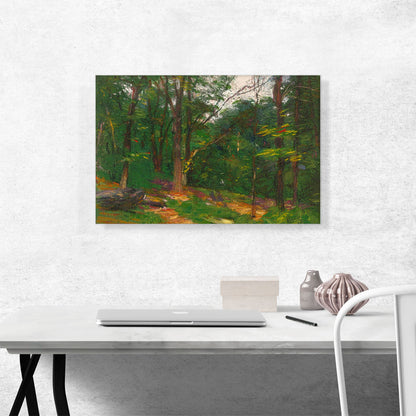 Trees At The Edge Of a Clearing