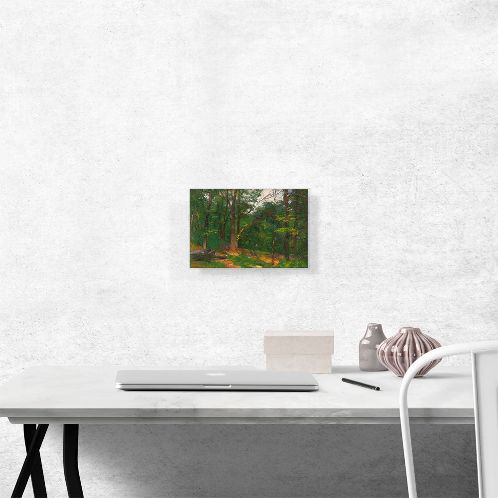 Trees At The Edge Of a Clearing