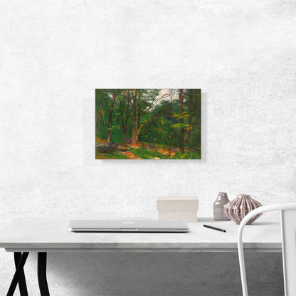 Trees At The Edge Of a Clearing
