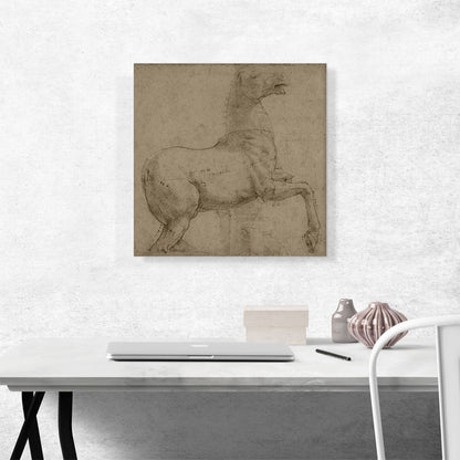 A Marble Horse on the Quirinal Hill 1513