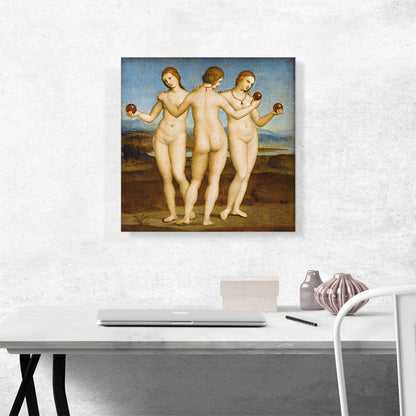 The Three Graces 1505