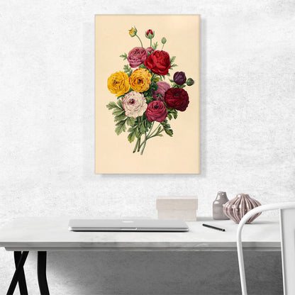 Red Pink and Yellow Roses