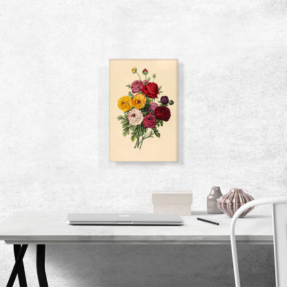 Red Pink and Yellow Roses