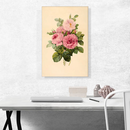 Pink Roses