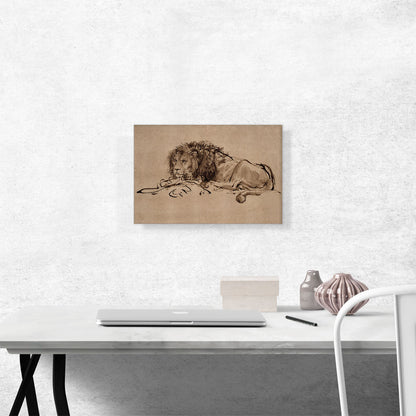 A Lion Lying Down 1650
