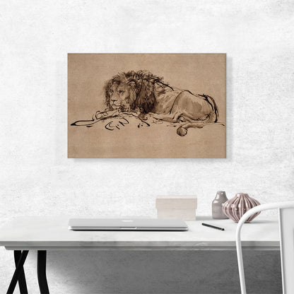 A Lion Lying Down 1650
