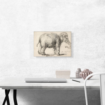 An Elephant 1637