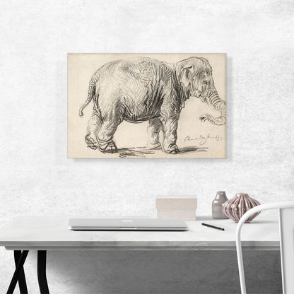 An Elephant 1637