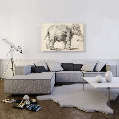 An Elephant 1637
