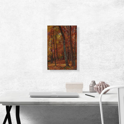 Forest Interior 1865