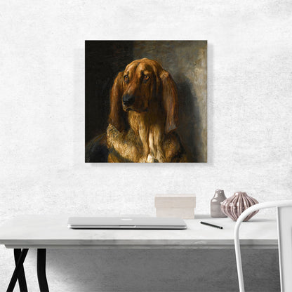 Sir Lancelot A Bloodhound 1888