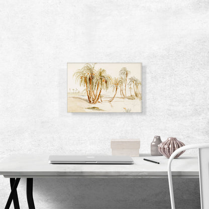 Desert Palms