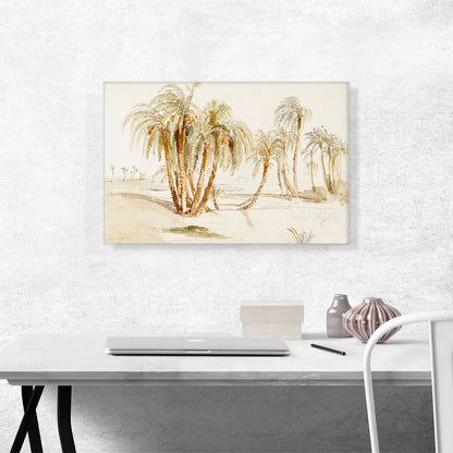 Desert Palms