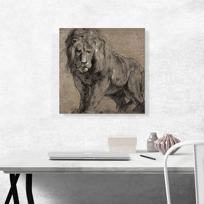 Lion 1613