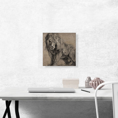 Lion 1613