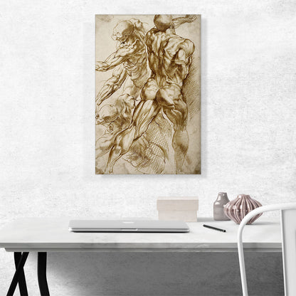 Anatomical Studies 1605