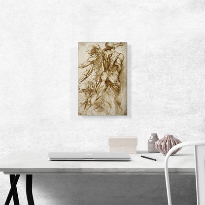Anatomical Studies 1605