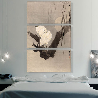 Egrets In a Tree At Night
