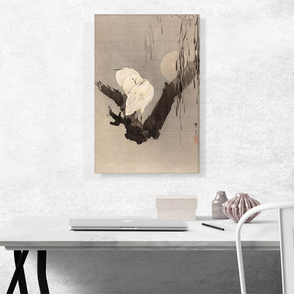 Egrets In a Tree At Night